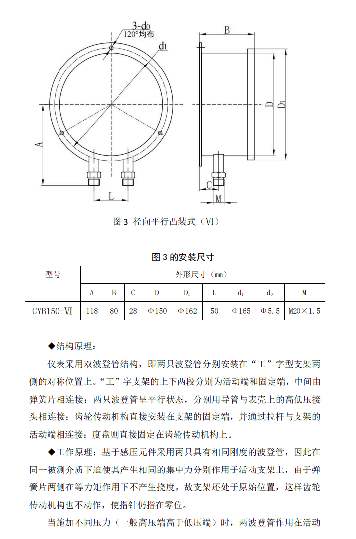 CYBN乃筝不锈钢差压表3.png