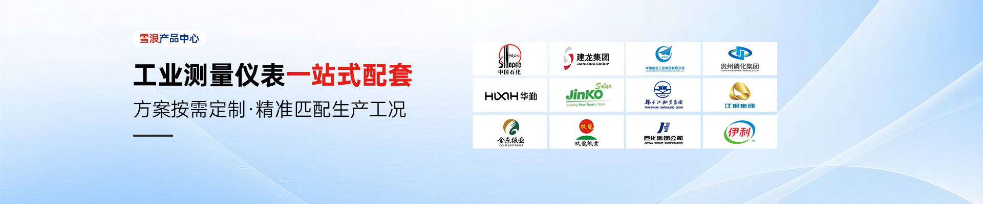 雪浪特种仪表应用方案