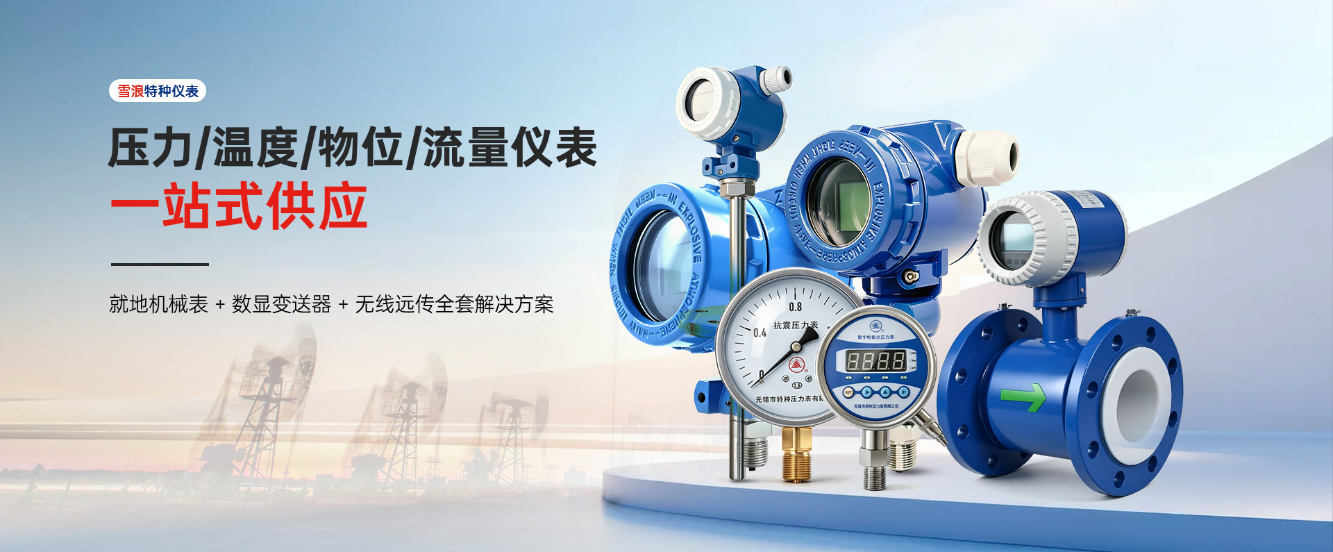 雪浪特种压力表威力温度物们流量仪表一站式供应